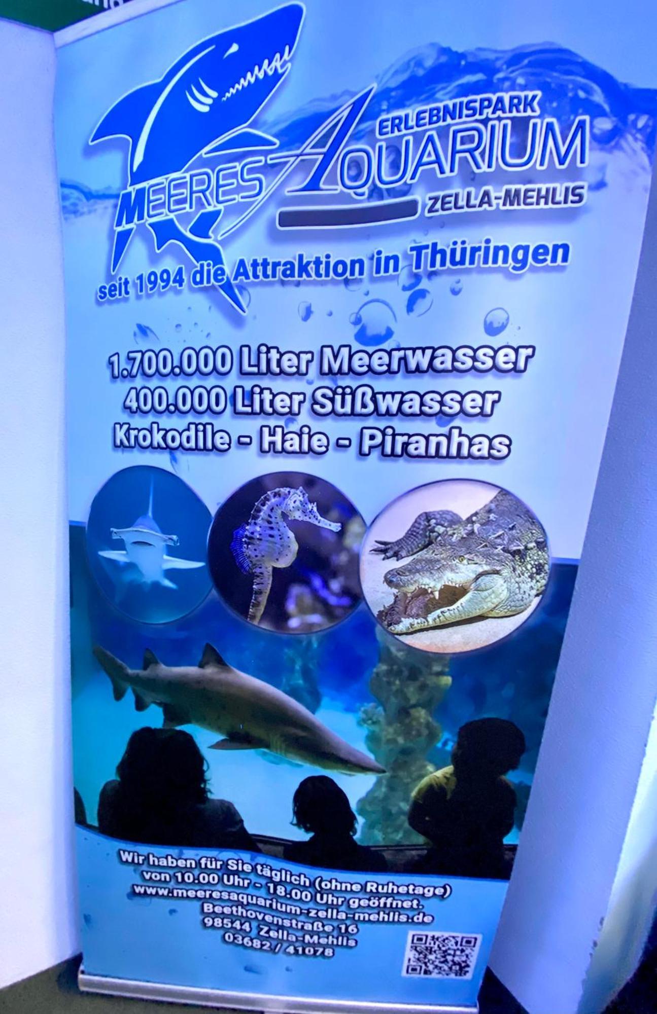 젤라메일스 Regenbergblick 아파트 외부 사진